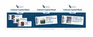Cultural Capital